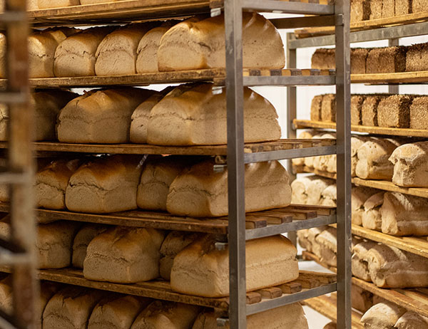 Viele Brote beim abkühlen in Regalen | Dördelmann Backwaren Vertriebs GmbH & Co. KG – An der Bewer 10 – 59069 Hamm